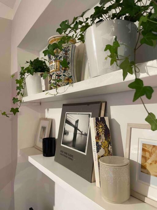 Romantic Attic Room With Panoramic View 博洛尼亚 外观 照片